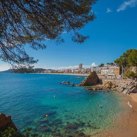 아파트 Comfortable With A Swimming Pool, 250m To The Sea. 료렛 드 마르